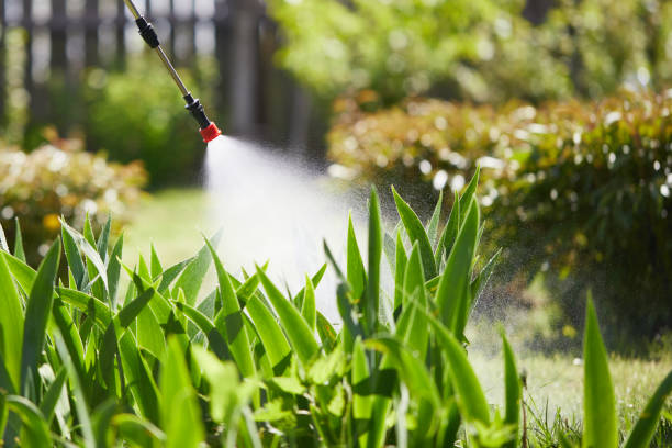 24/7 Emergency Mosquito Control experts in Spencerville, OH