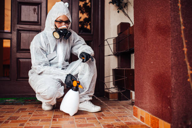 Reliable Mosquito Control contractor in Spencerville, OH by Show Me Pest Control