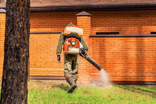 Top rated local Mosquito Control specialists in Spencerville, OH